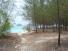 ab11-krabebeach3.jpg